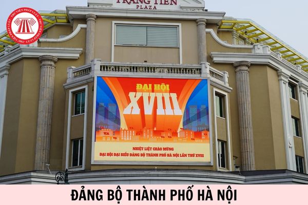 Hỏi đáp Pháp luật