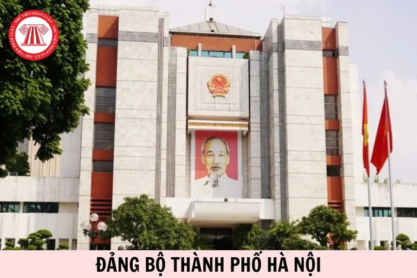 Hỏi đáp Pháp luật