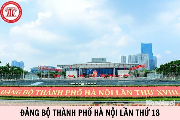 Hỏi đáp Pháp luật
