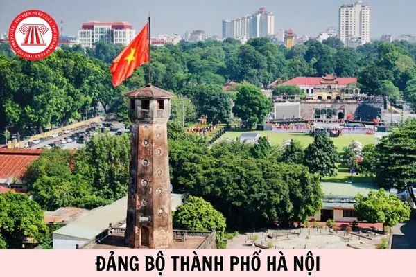 Hỏi đáp Pháp luật