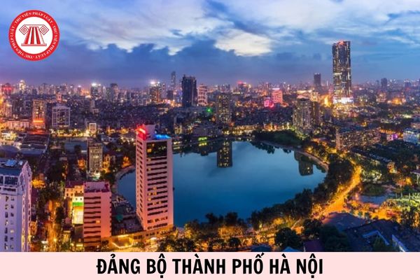 Hỏi đáp Pháp luật
