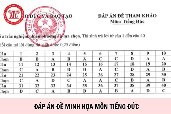 Hỏi đáp Pháp luật
