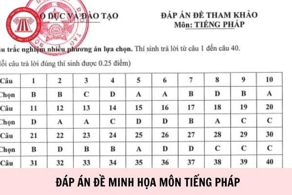 Hỏi đáp Pháp luật