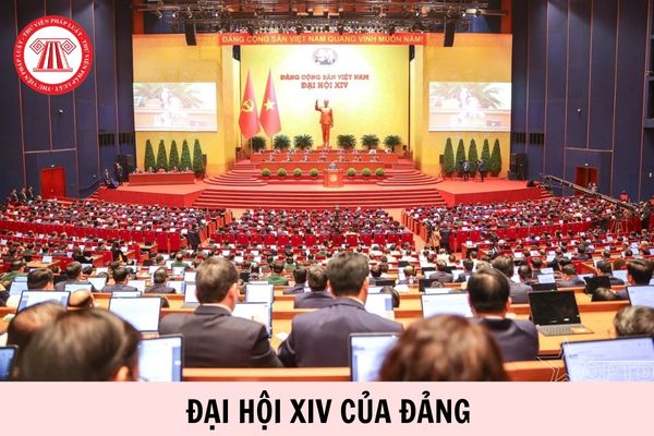 Hỏi đáp Pháp luật