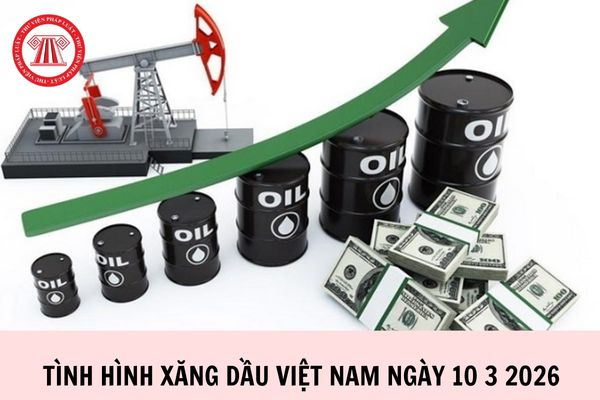  Tình hình xăng dầu Việt Nam ngày 10 3 2026 bao nhiêu 1 lít?