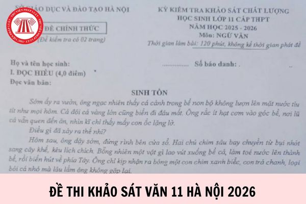 Đề thi khảo sát Văn 11 Hà Nội 2026 chi tiết như thế nào?