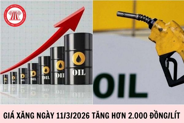 Hỏi đáp Pháp luật