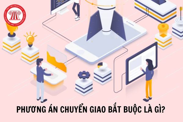 Hỏi đáp Pháp luật