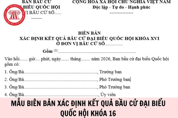 Hỏi đáp Pháp luật