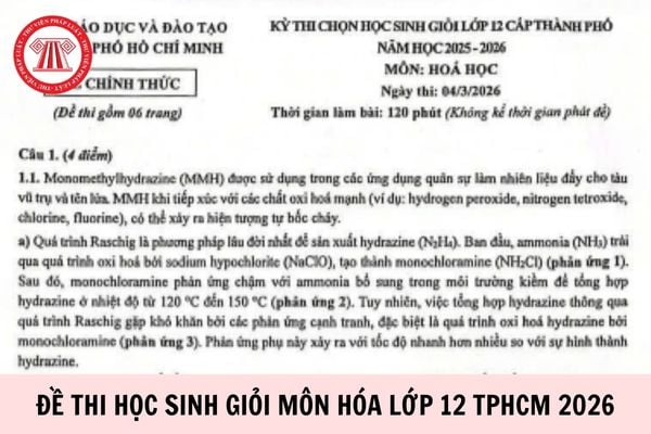 Hỏi đáp Pháp luật