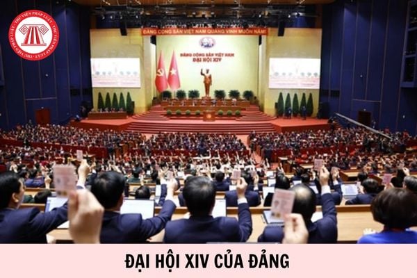 Hỏi đáp Pháp luật