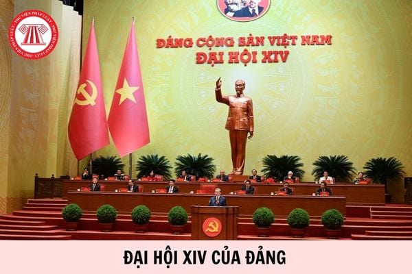 Hỏi đáp Pháp luật