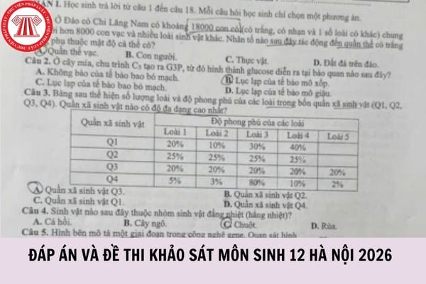 Hỏi đáp Pháp luật