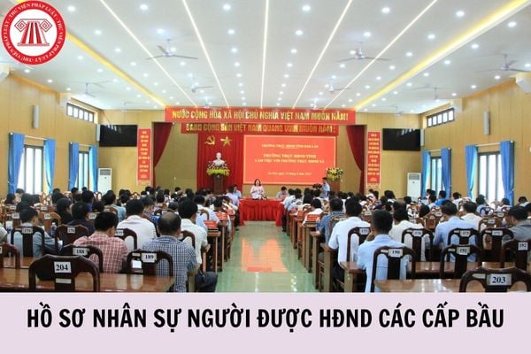 Hỏi đáp Pháp luật