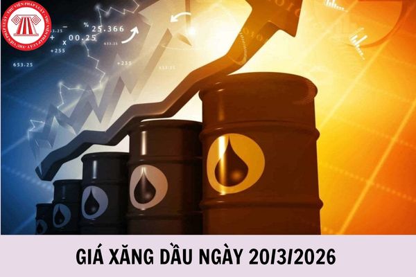 Giá xăng dầu ngày 20 3 2026 tăng lên bao nhiêu tiền một lít?