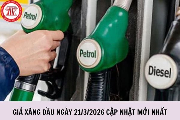 Hỏi đáp Pháp luật