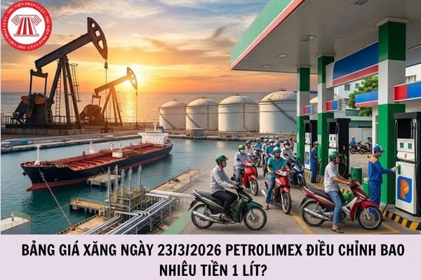 Hỏi đáp Pháp luật