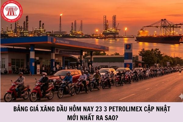 Hỏi đáp Pháp luật