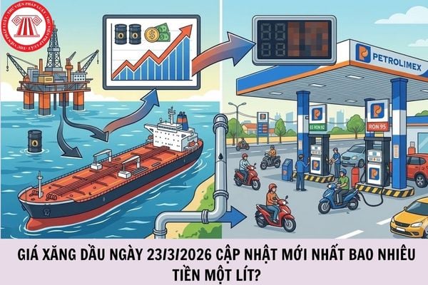 Hỏi đáp Pháp luật
