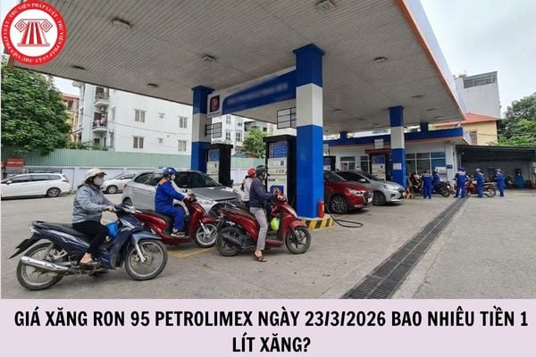 Hỏi đáp Pháp luật