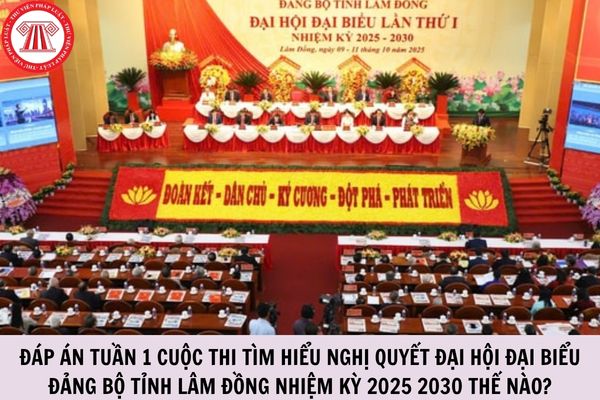 Hỏi đáp Pháp luật