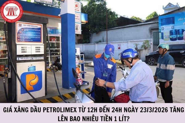 Hỏi đáp Pháp luật