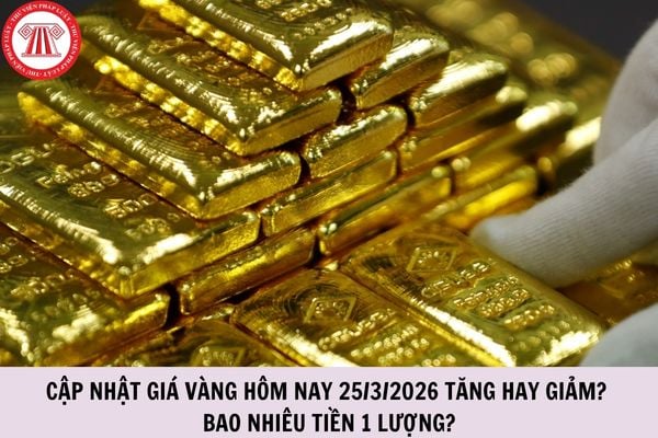 Hỏi đáp Pháp luật
