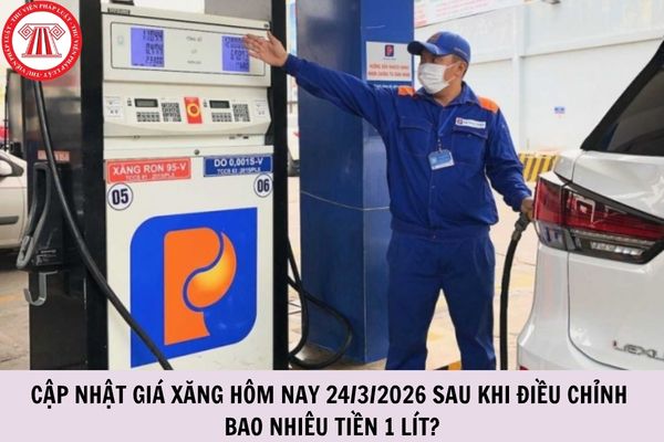 Hỏi đáp Pháp luật