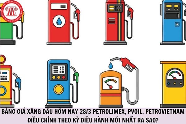 Hỏi đáp Pháp luật