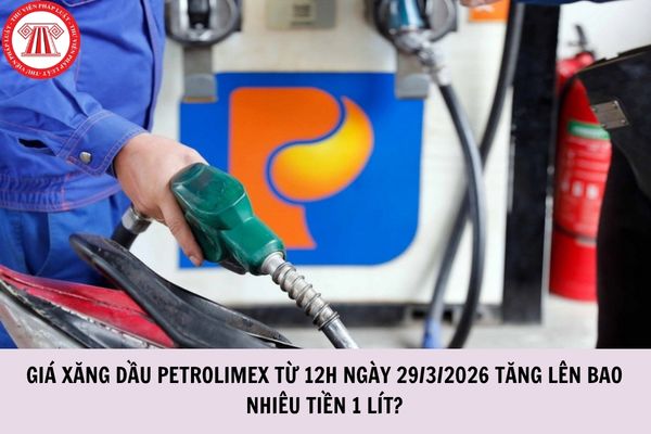 Giá xăng dầu Petrolimex từ 12h ngày 29 3 2026 tăng lên bao nhiêu tiền 1 lít?