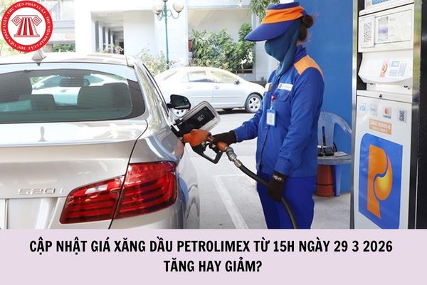 Hỏi đáp Pháp luật