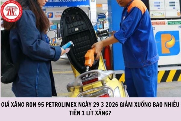 Hỏi đáp Pháp luật
