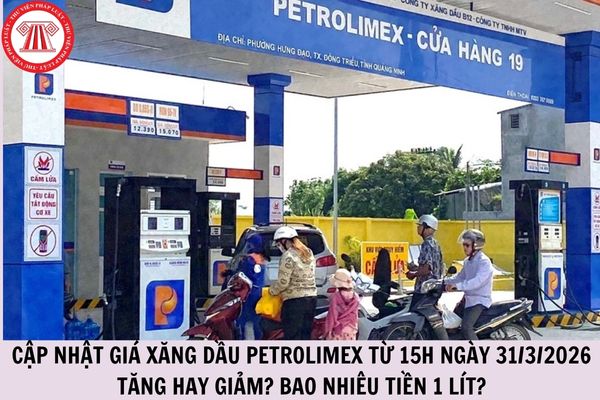 Hỏi đáp Pháp luật