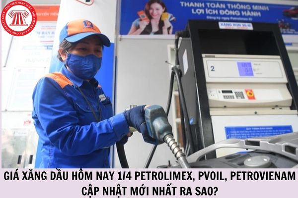 Hỏi đáp Pháp luật