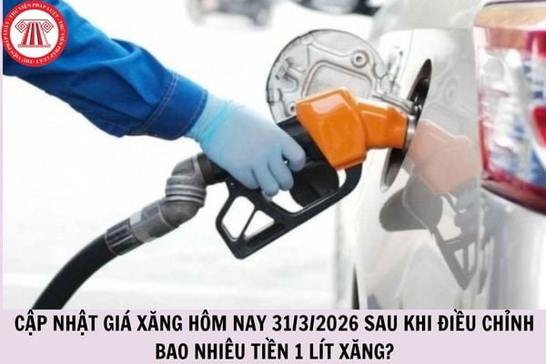 Hỏi đáp Pháp luật