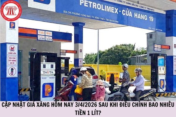 Hỏi đáp Pháp luật