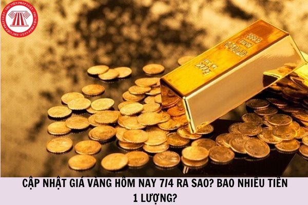 Hỏi đáp Pháp luật