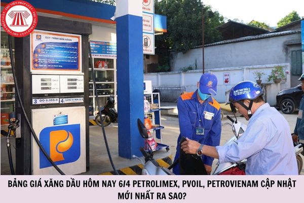 Hỏi đáp Pháp luật