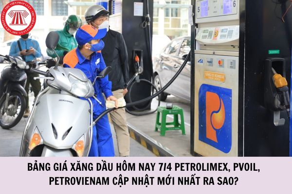 Hỏi đáp Pháp luật