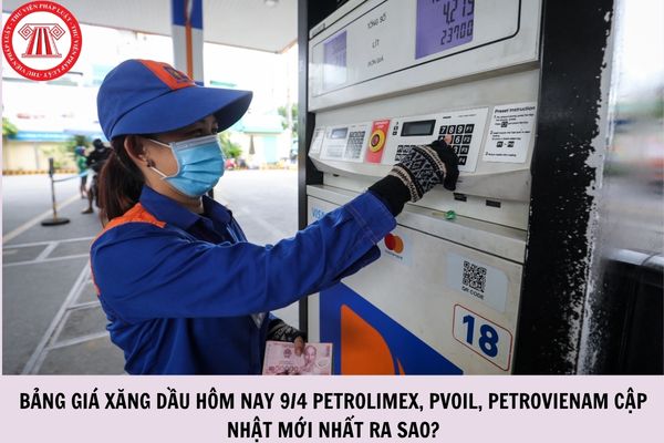 Hỏi đáp Pháp luật