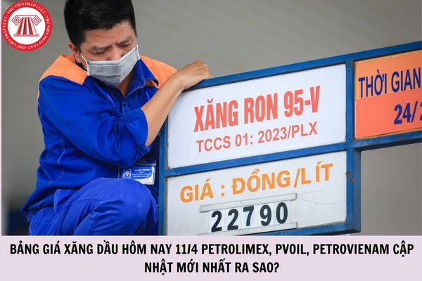 Hỏi đáp Pháp luật