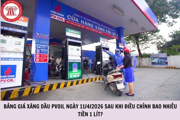 Hỏi đáp Pháp luật