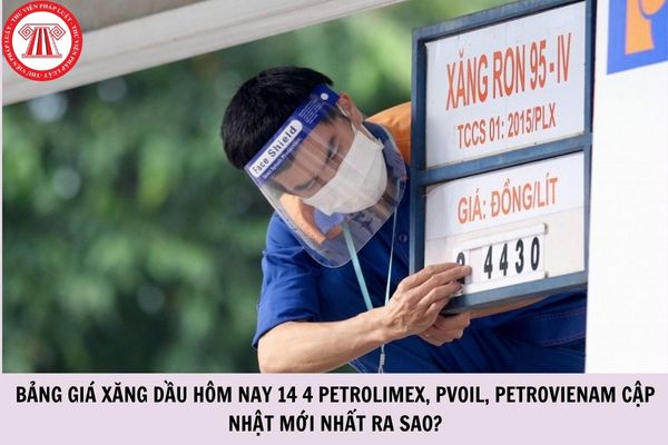 Hỏi đáp Pháp luật