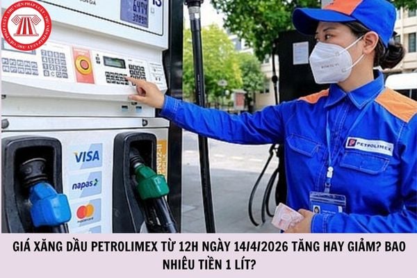 Hỏi đáp Pháp luật