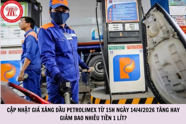 Hỏi đáp Pháp luật
