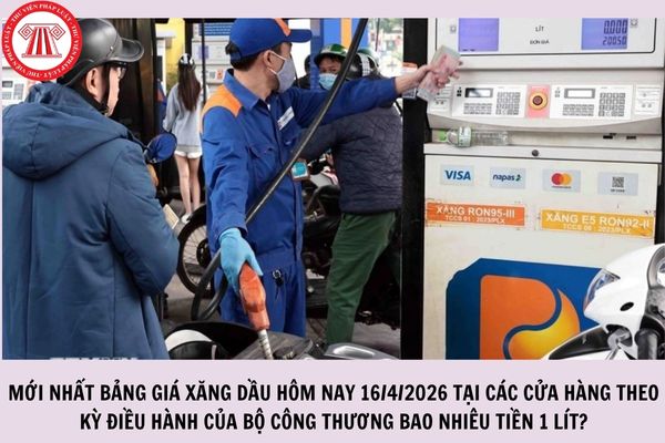 Hỏi đáp Pháp luật