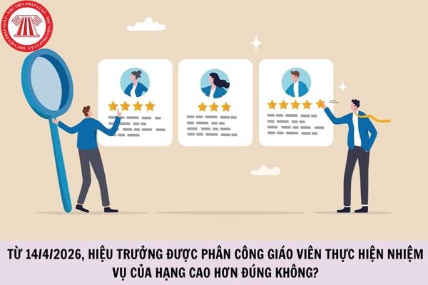 Từ 14/4/2026, Hiệu trưởng được phân công giáo viên thực hiện nhiệm vụ của hạng cao hơn đúng không?