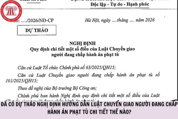 Đã có dự thảo Nghị định hướng dẫn Luật Chuyển giao người đang chấp hành án phạt tù chi tiết thế nào?
