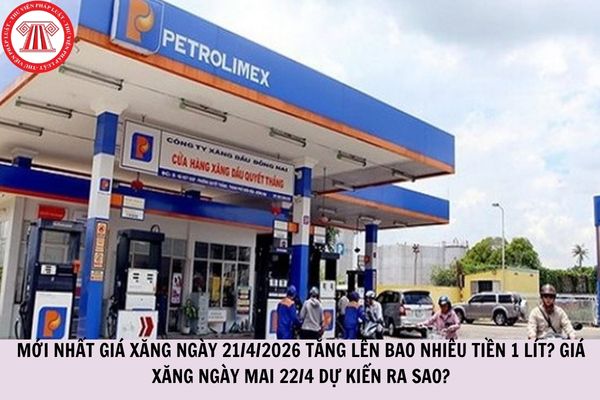 Hỏi đáp Pháp luật
