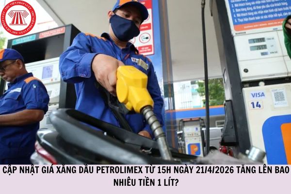 Hỏi đáp Pháp luật